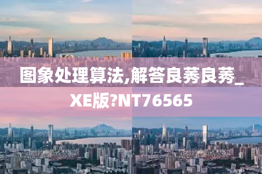 图象处理算法,解答良莠良莠_XE版?NT76565