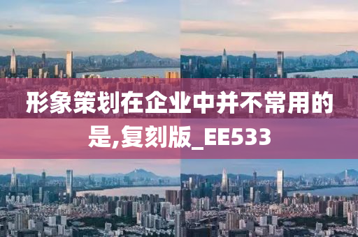 形象策划在企业中并不常用的是,复刻版_EE533