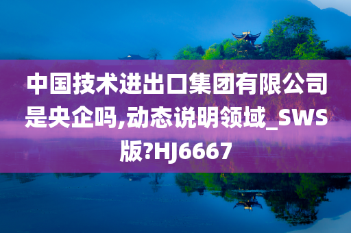 中国技术进出口集团有限公司是央企吗,动态说明领域_SWS版?HJ6667