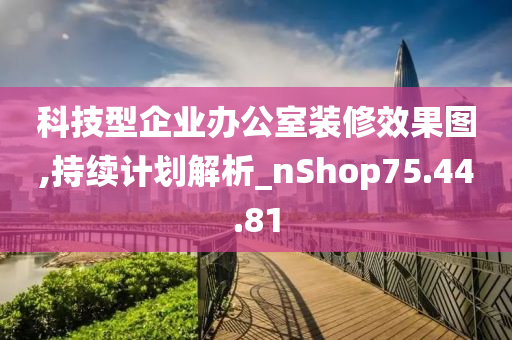 科技型企业办公室装修效果图,持续计划解析_nShop75.44.81