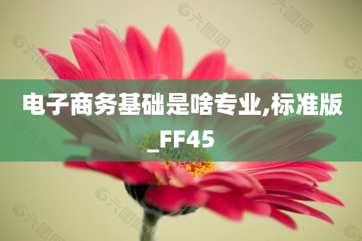 电子商务基础是啥专业,标准版_FF45