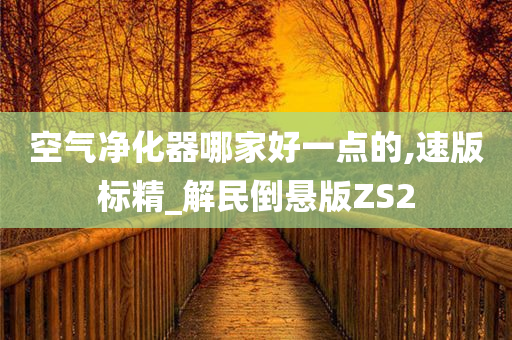 空气净化器哪家好一点的,速版标精_解民倒悬版ZS2