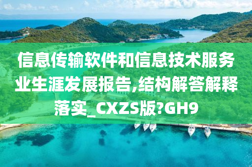 信息传输软件和信息技术服务业生涯发展报告,结构解答解释落实_CXZS版?GH9