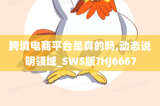 跨境电商平台是真的吗,动态说明领域_SWS版?HJ6667