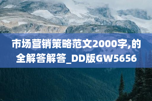 市场营销策略范文2000字,的全解答解答_DD版GW5656