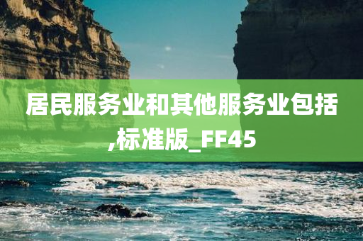 居民服务业和其他服务业包括,标准版_FF45