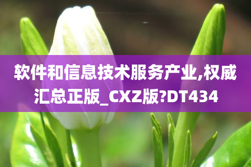 软件和信息技术服务产业,权威汇总正版_CXZ版?DT434