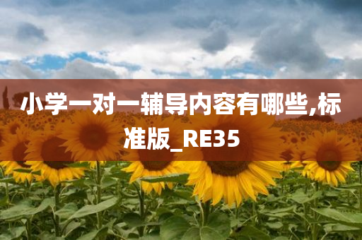 小学一对一辅导内容有哪些,标准版_RE35