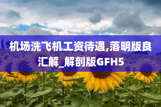 机场洗飞机工资待遇,落明版良汇解_解剖版GFH5