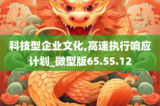 科技型企业文化,高速执行响应计划_微型版65.55.12