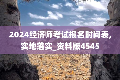 2024经济师考试报名时间表,实地落实_资料版4545