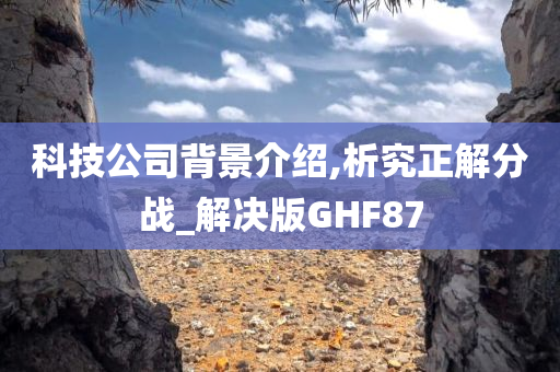 科技公司背景介绍,析究正解分战_解决版GHF87