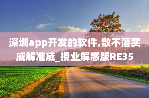 深圳app开发的软件,数不落实威解准威_授业解惑版RE35