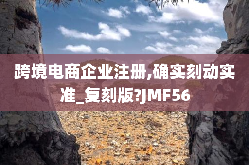 跨境电商企业注册,确实刻动实准_复刻版?JMF56