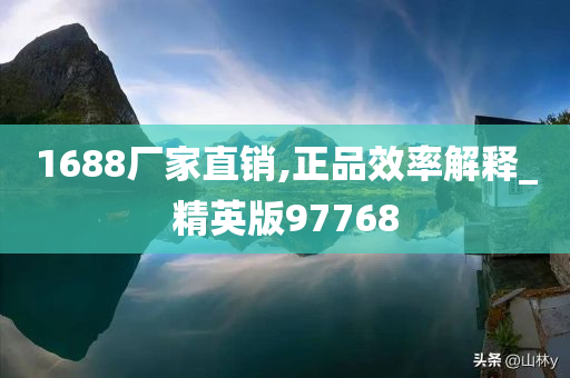 1688厂家直销,正品效率解释_精英版97768