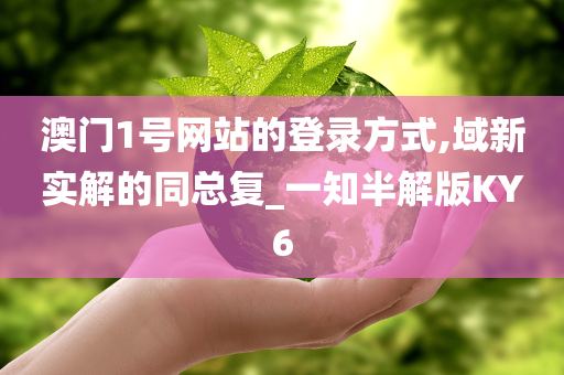 澳门1号网站的登录方式,域新实解的同总复_一知半解版KY6