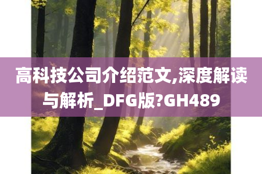 高科技公司介绍范文,深度解读与解析_DFG版?GH489