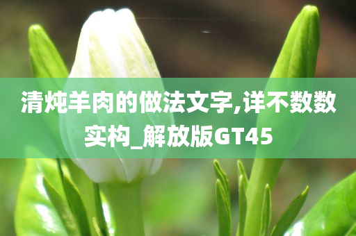 清炖羊肉的做法文字,详不数数实构_解放版GT45