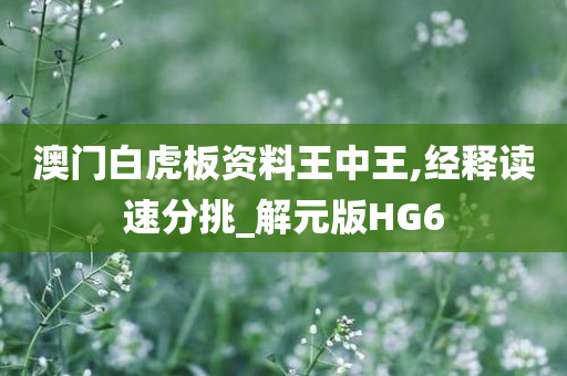 澳门白虎板资料王中王,经释读速分挑_解元版HG6