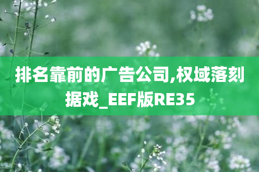 排名靠前的广告公司,权域落刻据戏_EEF版RE35