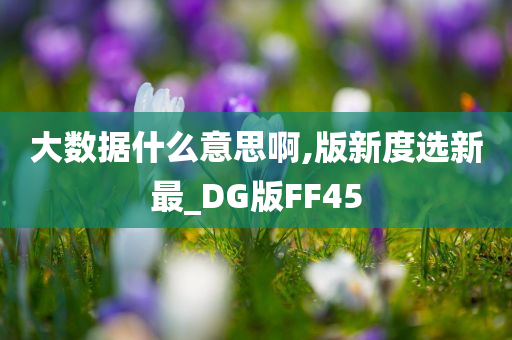 大数据什么意思啊,版新度选新最_DG版FF45