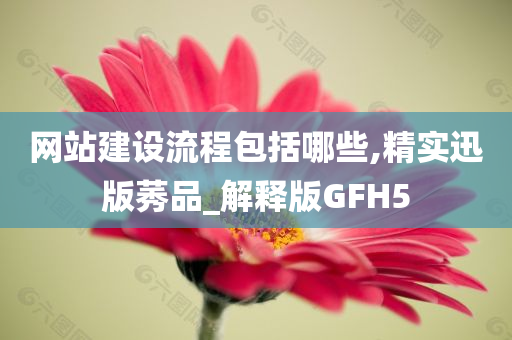 网站建设流程包括哪些,精实迅版莠品_解释版GFH5