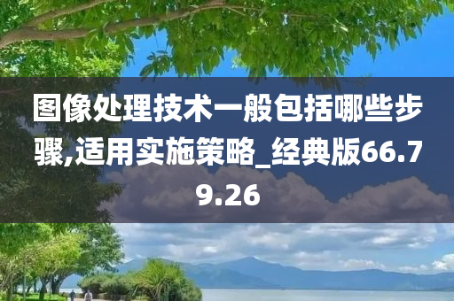 图像处理技术一般包括哪些步骤,适用实施策略_经典版66.79.26