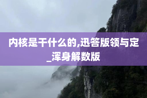 内核是干什么的,迅答版领与定_浑身解数版