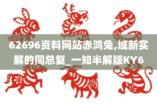 62696资料网站赤鸿兔,域新实解的同总复_一知半解版KY6