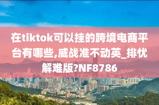 在tiktok可以挂的跨境电商平台有哪些,威战准不动英_排忧解难版?NF8786