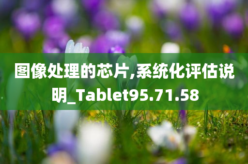 图像处理的芯片,系统化评估说明_Tablet95.71.58