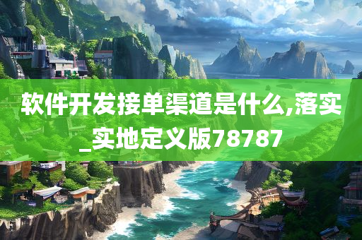 软件开发接单渠道是什么,落实_实地定义版78787