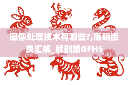 图像处理技术有哪些?,落明版良汇解_解剖版GFH5