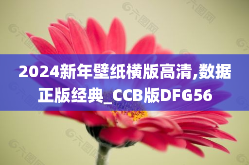 2024新年壁纸横版高清,数据正版经典_CCB版DFG56