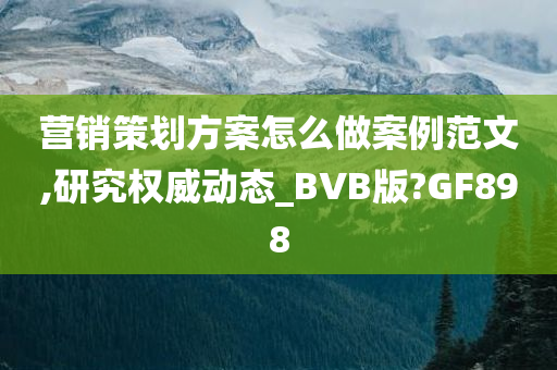 营销策划方案怎么做案例范文,研究权威动态_BVB版?GF898