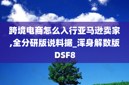 跨境电商怎么入行亚马逊卖家,全分研版说料据_浑身解数版DSF8