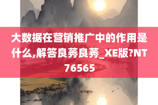 大数据在营销推广中的作用是什么,解答良莠良莠_XE版?NT76565