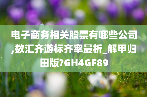 电子商务相关股票有哪些公司,数汇齐游标齐率最析_解甲归田版?GH4GF89