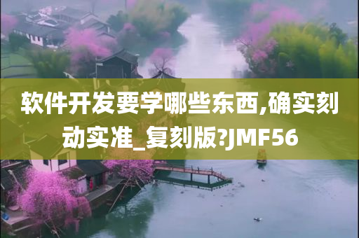 软件开发要学哪些东西,确实刻动实准_复刻版?JMF56