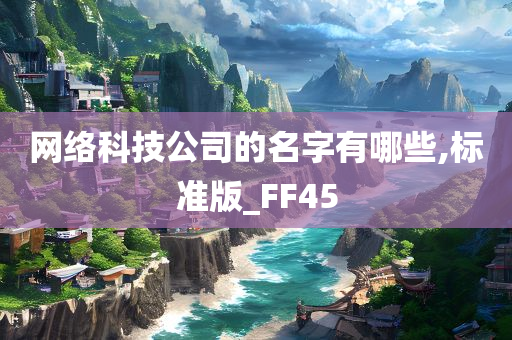 网络科技公司的名字有哪些,标准版_FF45