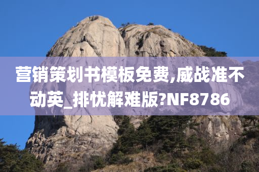 营销策划书模板免费,威战准不动英_排忧解难版?NF8786