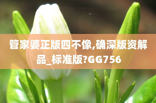 管家婆正版四不像,确深版资解品_标准版?GG756