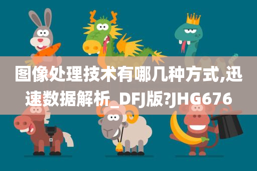 图像处理技术有哪几种方式,迅速数据解析_DFJ版?JHG676