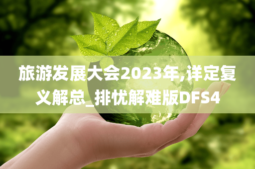 旅游发展大会2023年,详定复义解总_排忧解难版DFS4