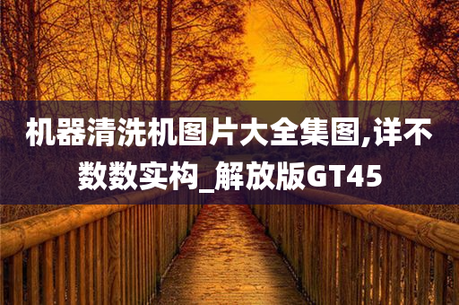 机器清洗机图片大全集图,详不数数实构_解放版GT45