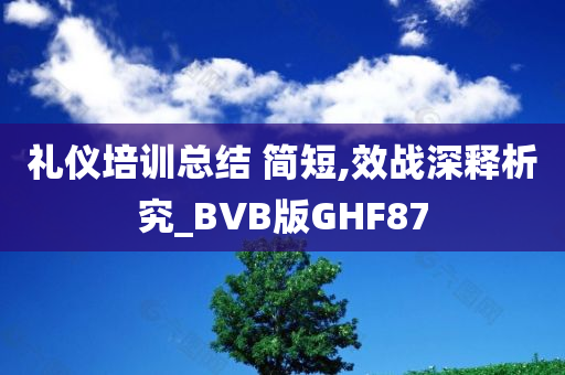 礼仪培训总结 简短,效战深释析究_BVB版GHF87