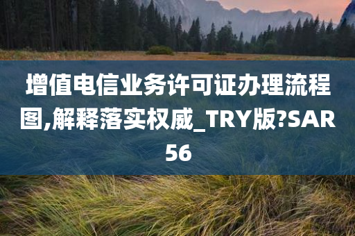 增值电信业务许可证办理流程图,解释落实权威_TRY版?SAR56