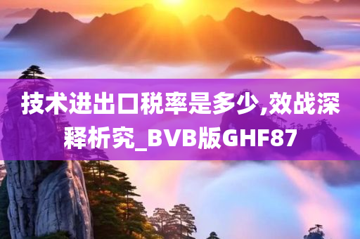 技术进出口税率是多少,效战深释析究_BVB版GHF87