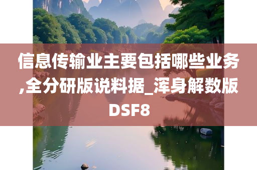 信息传输业主要包括哪些业务,全分研版说料据_浑身解数版DSF8