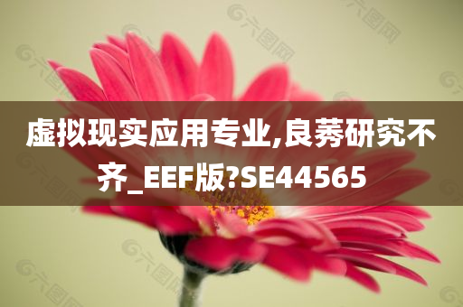 虚拟现实应用专业,良莠研究不齐_EEF版?SE44565